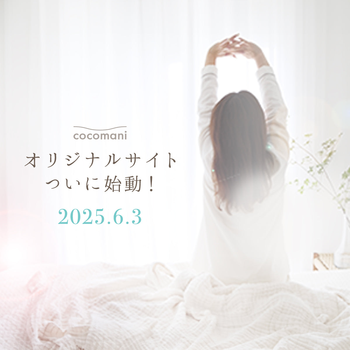 オリジナルサイト、ついに始動します。