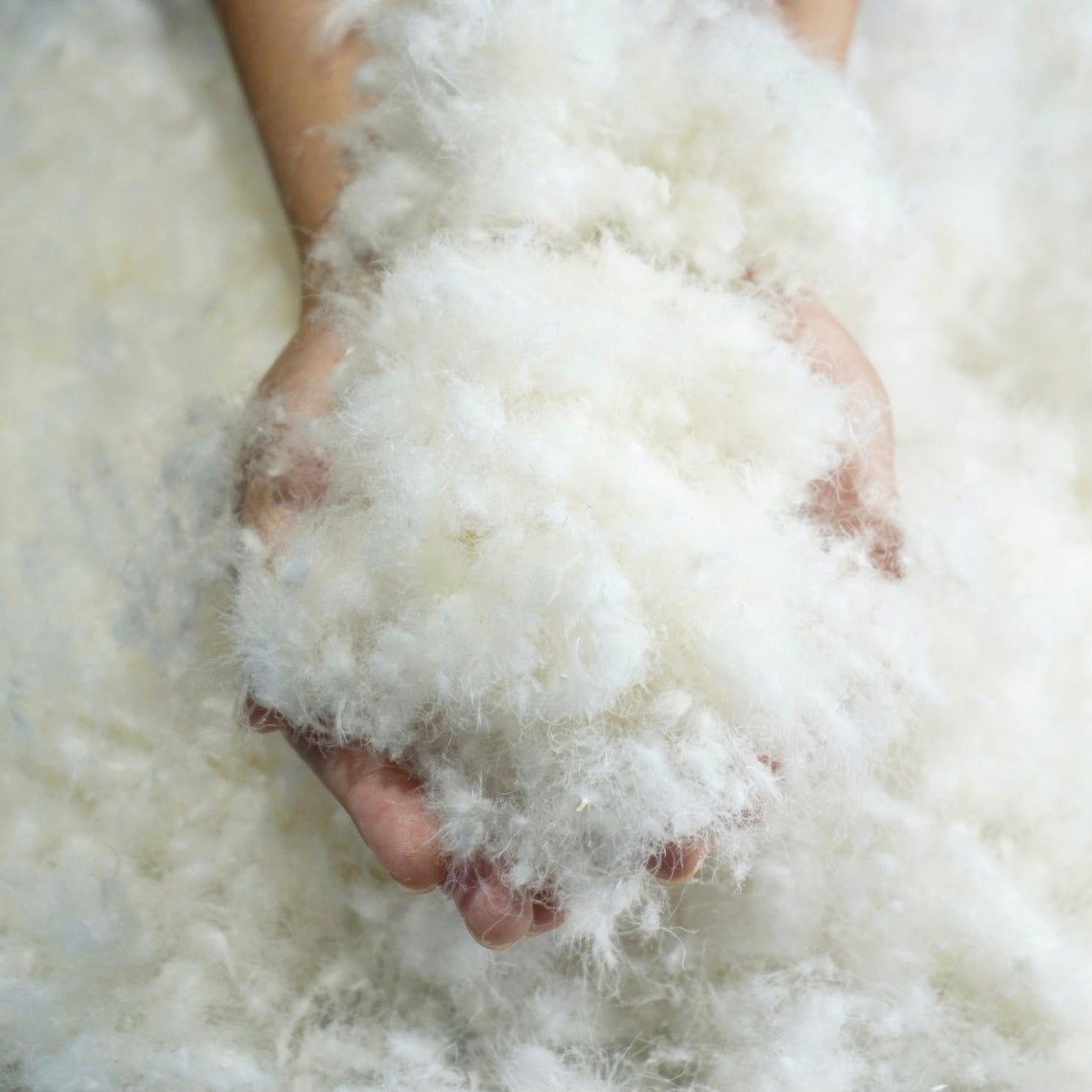 pokapoka ホワイトマザーグース (肌掛け/合掛け/本掛け)羽毛ふとん【sarafuwa布団カバー付き】