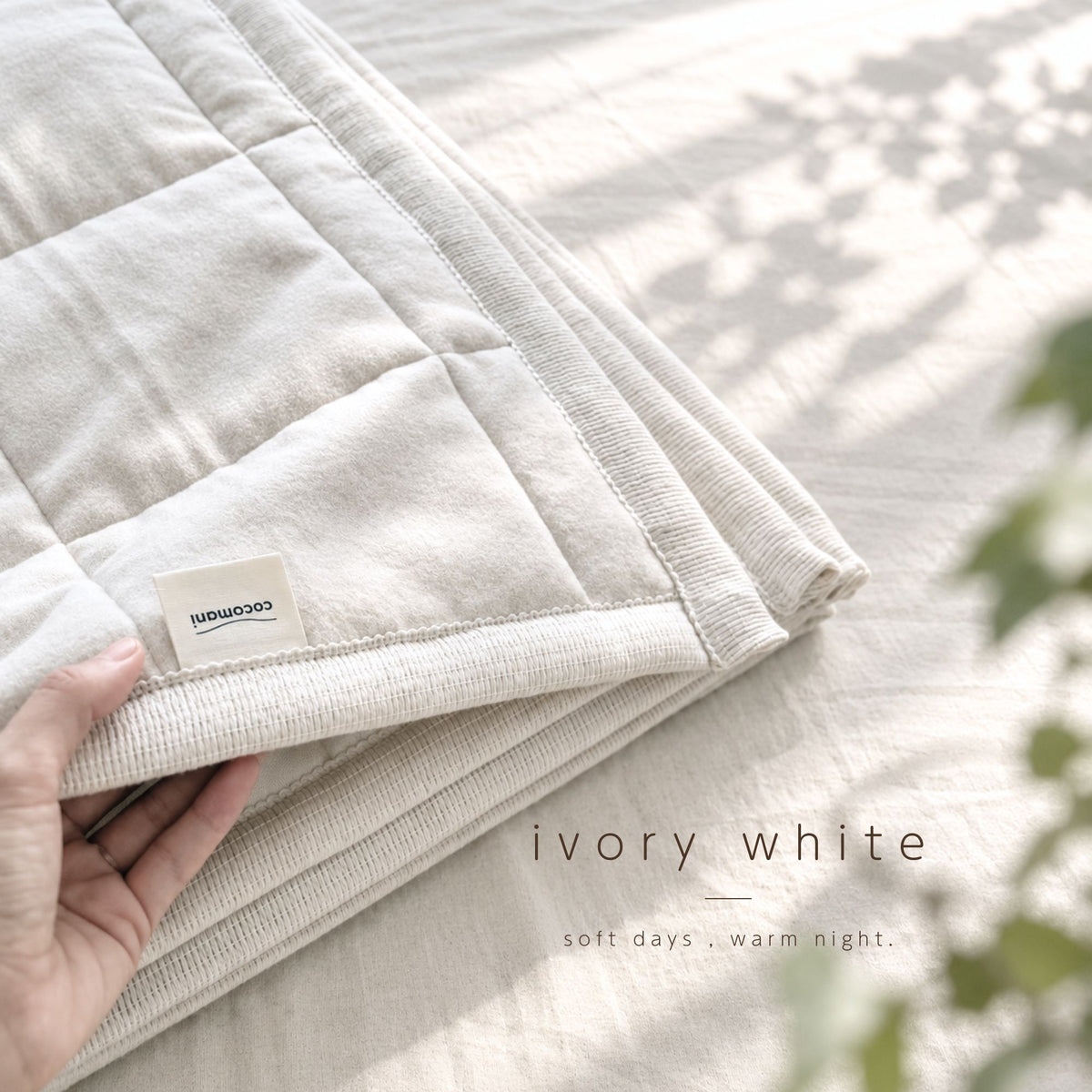9/18(金)20:00販売開始【秋・冬だけの限定販売】コットン毛布 toromo(とろも)の 敷パッド