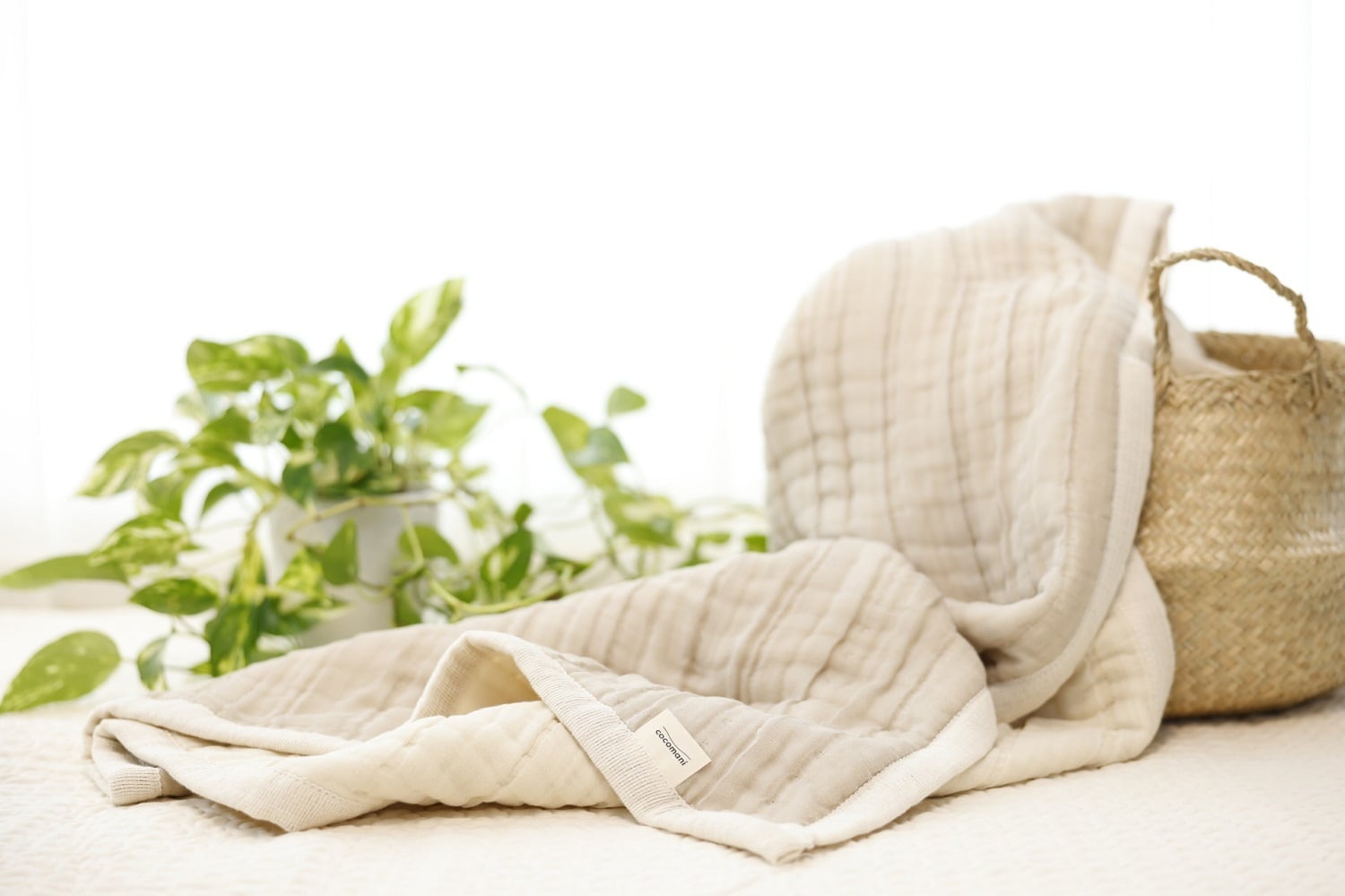 【再販|第二期ご予約受付中】torotoro 8重ジャガード織 ガーゼケット Holiday season limited