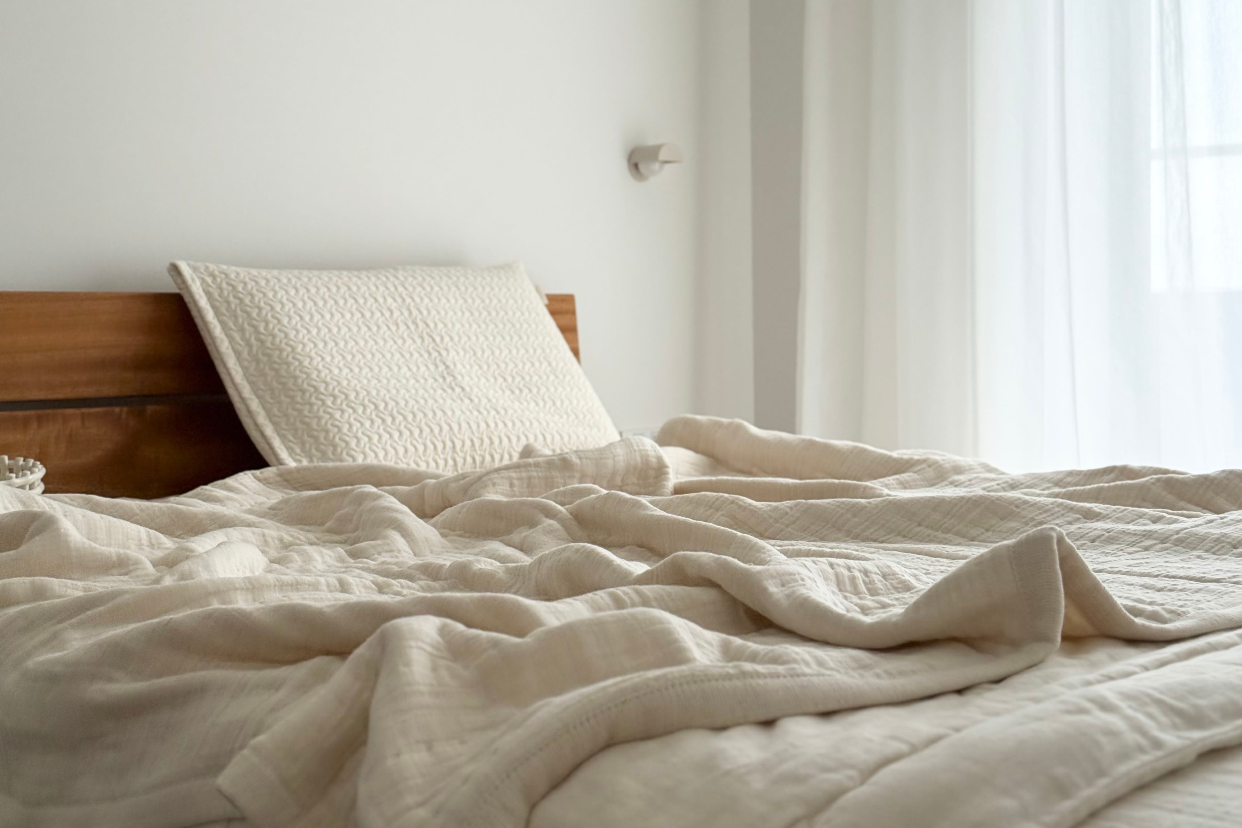 【再販|第二期ご予約受付中】torotoro 8重ジャガード織 ガーゼケット Holiday season limited