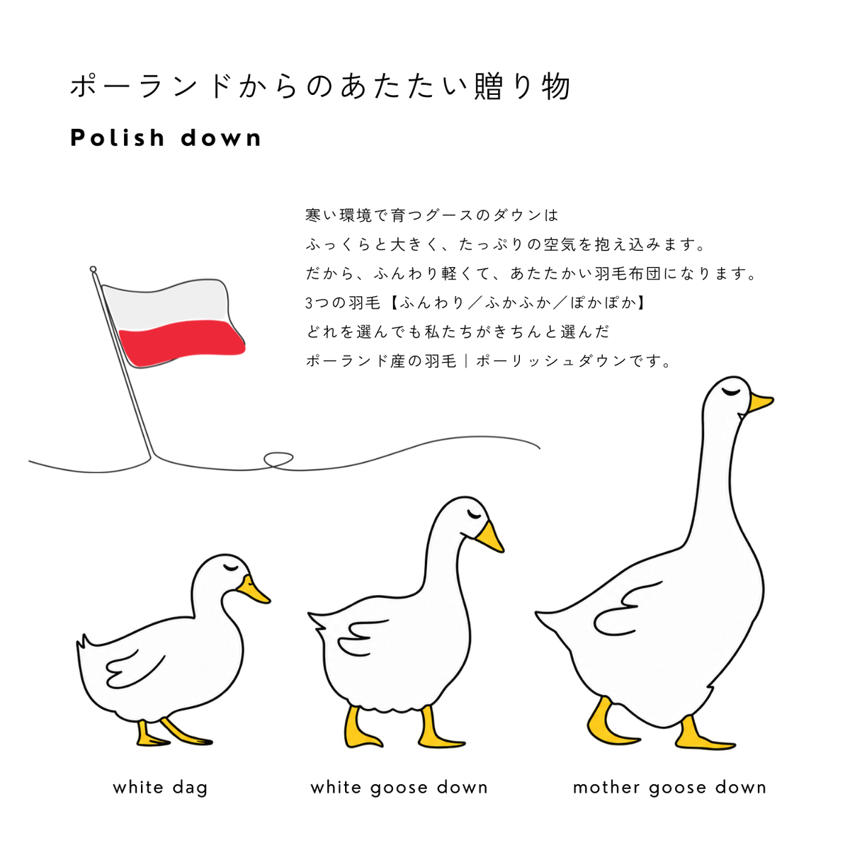 ふわふわ軽くて、ぽかぽかあたたかい 羽毛ふとん|fupoka(ふぽか)【ミルクティーカラーの sarari fuwari 布団カバー&枕カバー付き】
