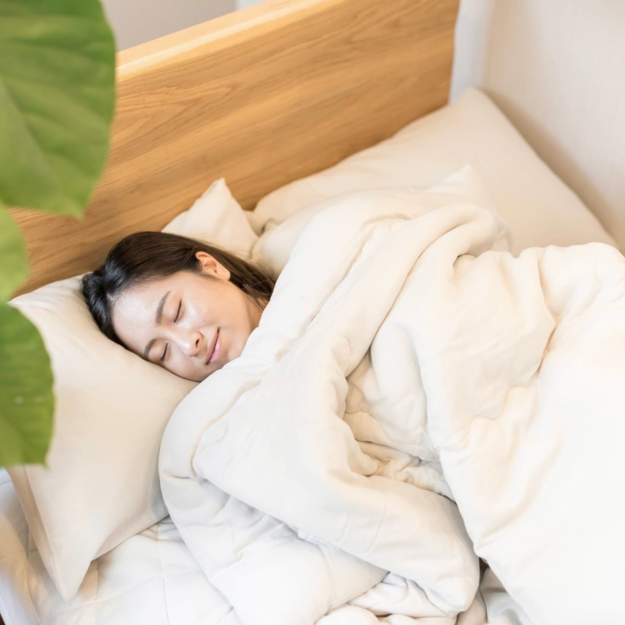 mofumofu コットン合掛けふとん【シングル/ダブル】