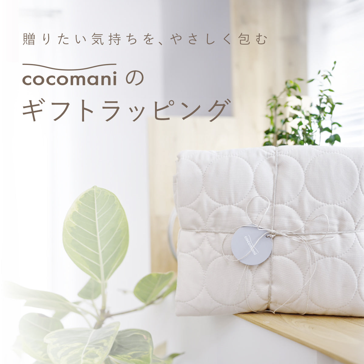 贈りたい気持ちを、やさしく包む。cocomaniのギフトラッピング。