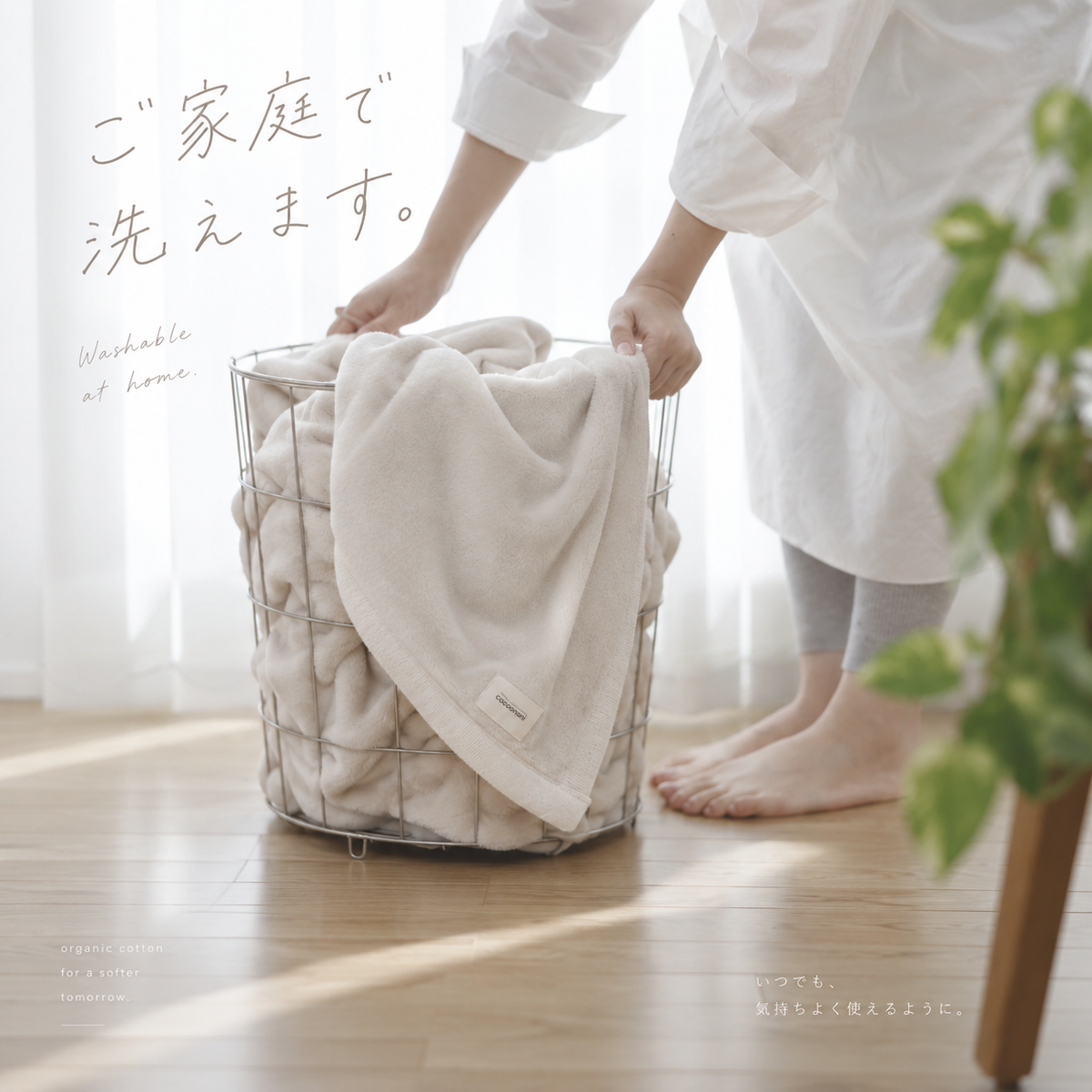 9/18(金)20:00販売開始【秋・冬だけの限定販売】コットン毛布 toromo（とろも）の 枕カバー