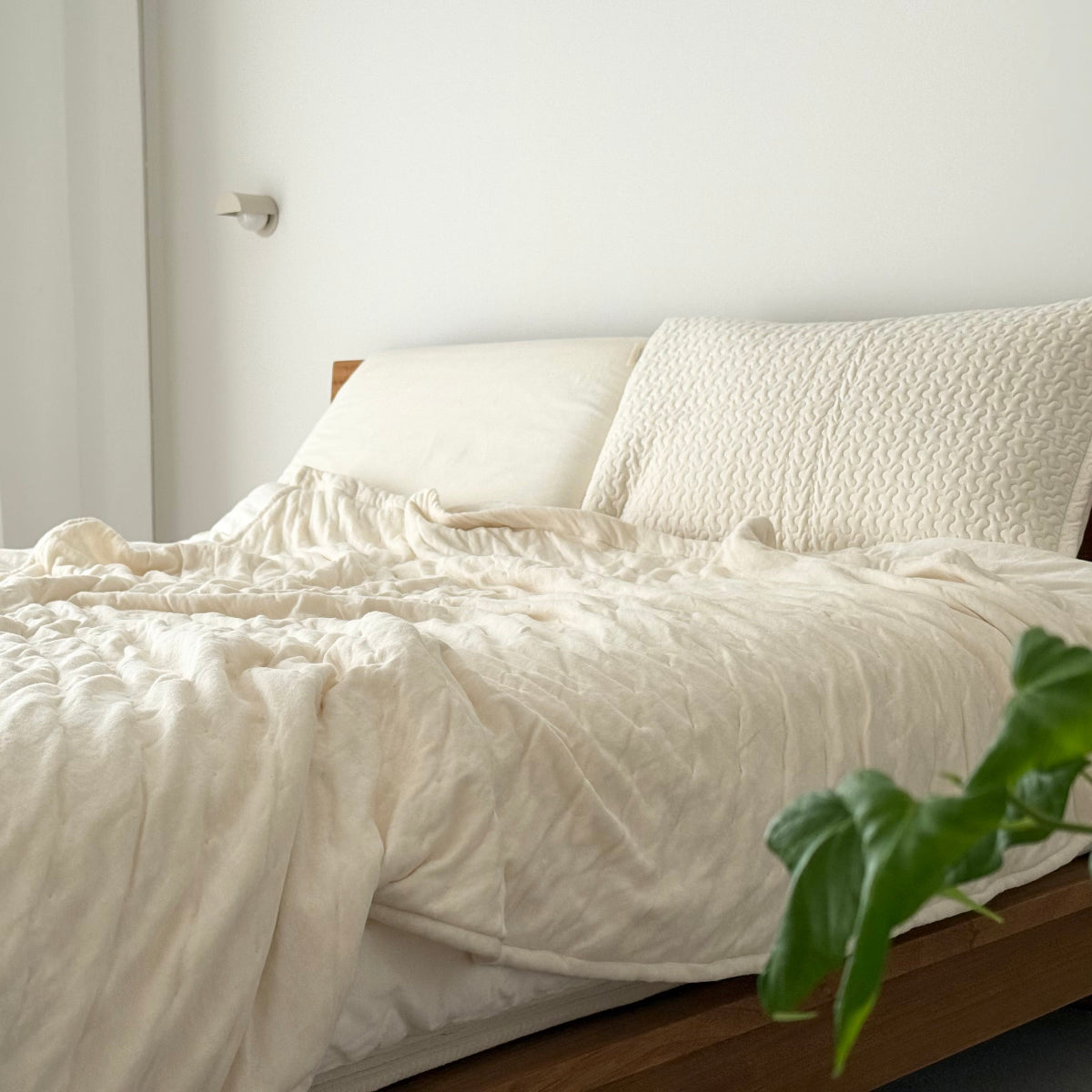 【発売日：3/20(金)】toronn とろん。わたし色に染まる 育むニットケット