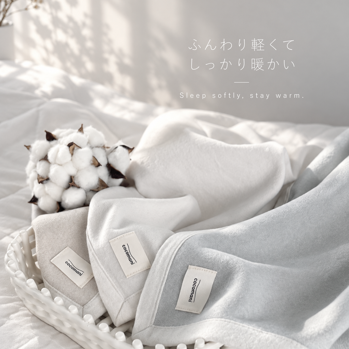 【9/18(金)20:00販売開始秋・冬だけの限定販売】コットン毛布 toromo（とろも）
