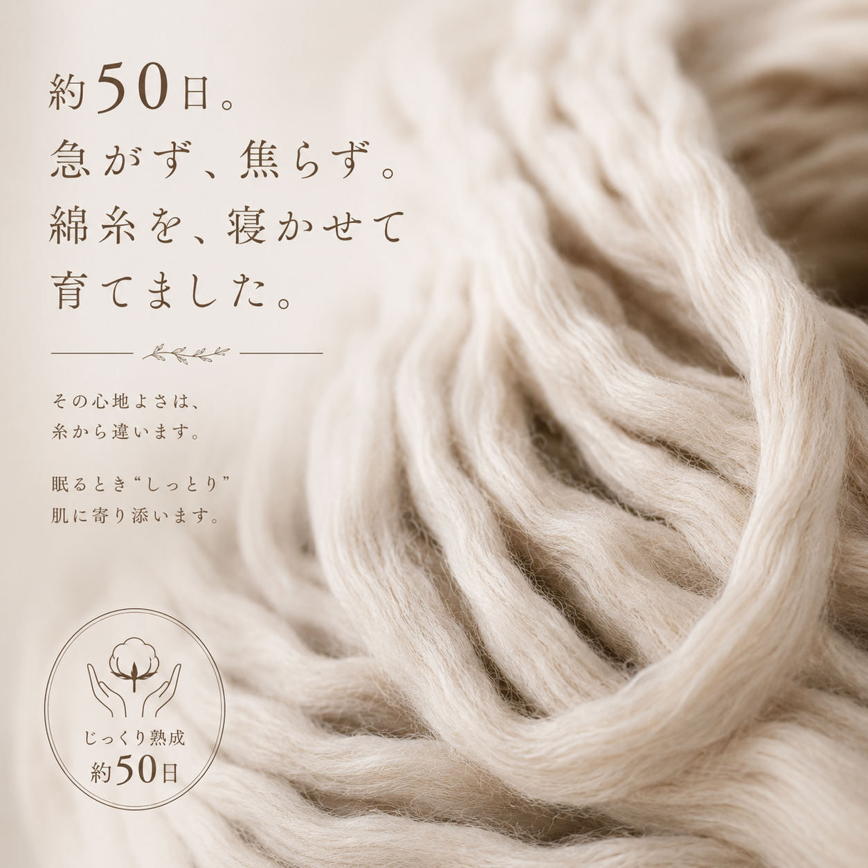 三河木綿 熟成糸のボリュームミルフィーユガーゼケット｜shittori（しっとり）