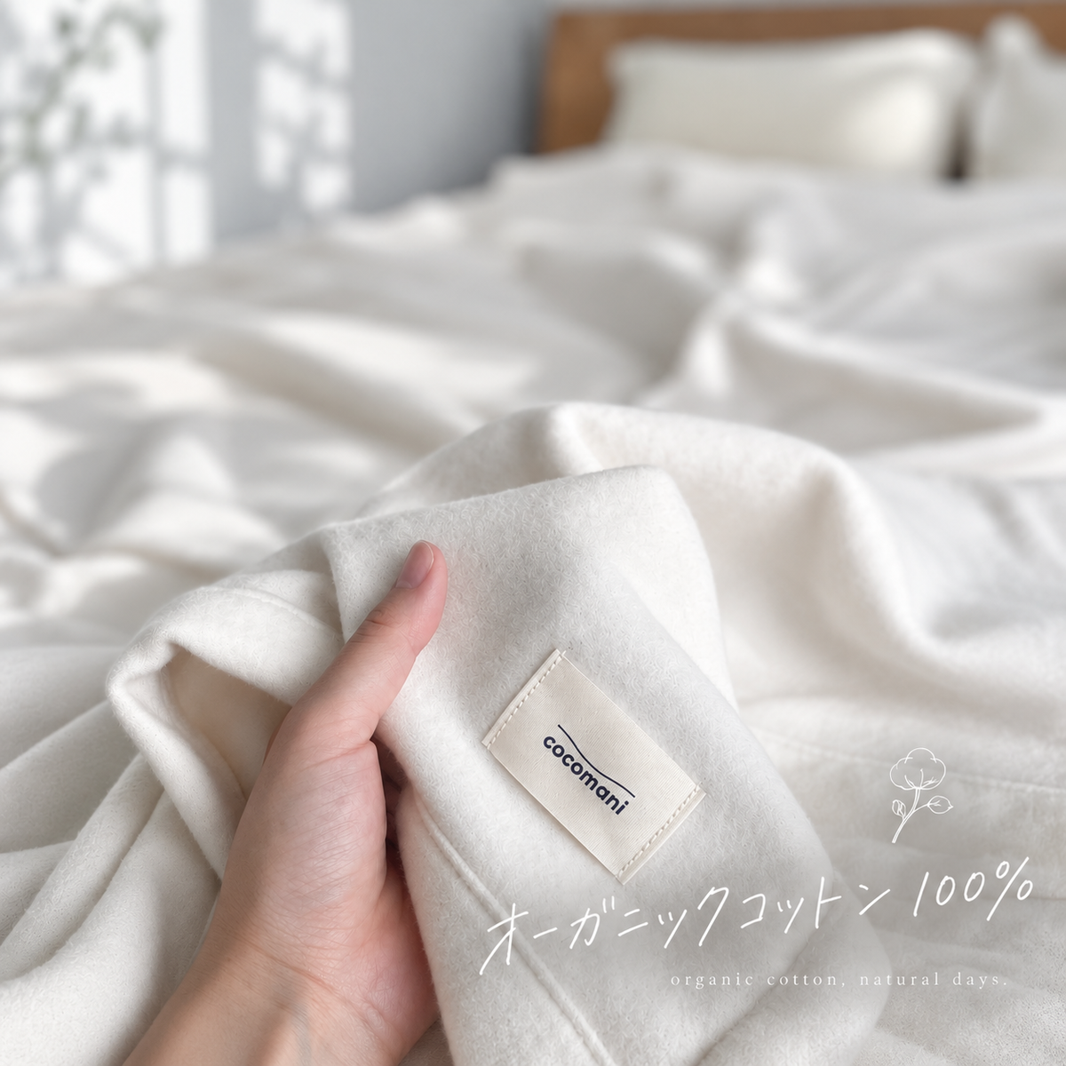【9/18(金)20:00販売開始秋・冬だけの限定販売】コットン毛布 toromo（とろも）