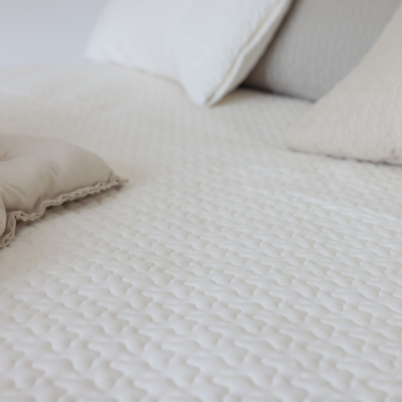 pocopoco コットン 敷きパッド【シングル・ダブル兼用】