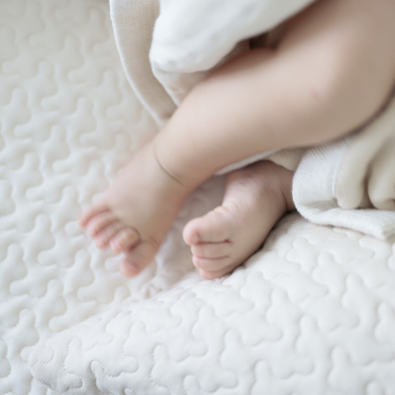 pocopoco コットン 敷きパッド【シングル・ダブル兼用】