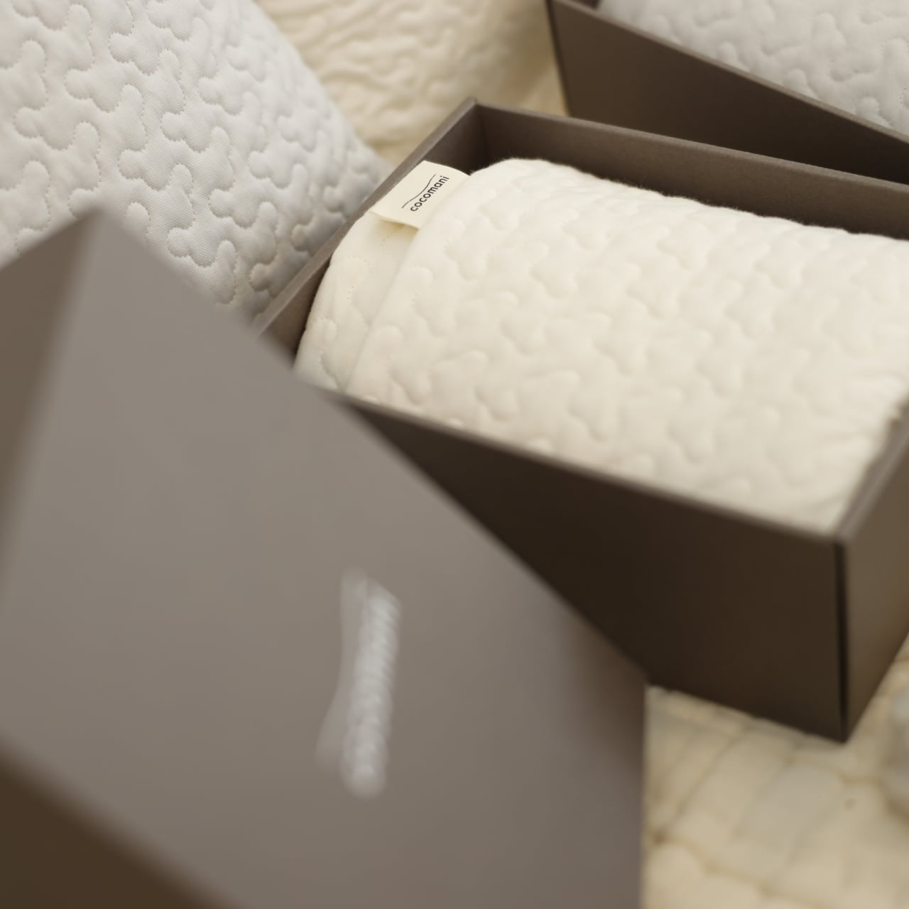 ＃そうだ！春だ！ 桜カラーの pocopoco 枕カバー