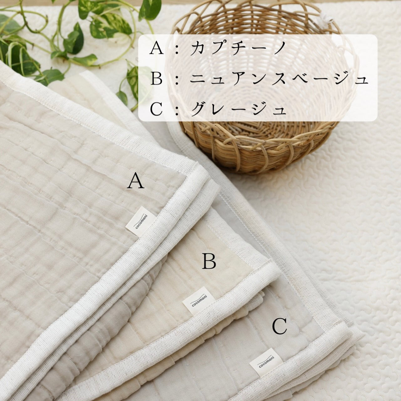 最終販売♪【SAKURA×torotoroセット】ありがとう＃SAKURAとチョイスセット