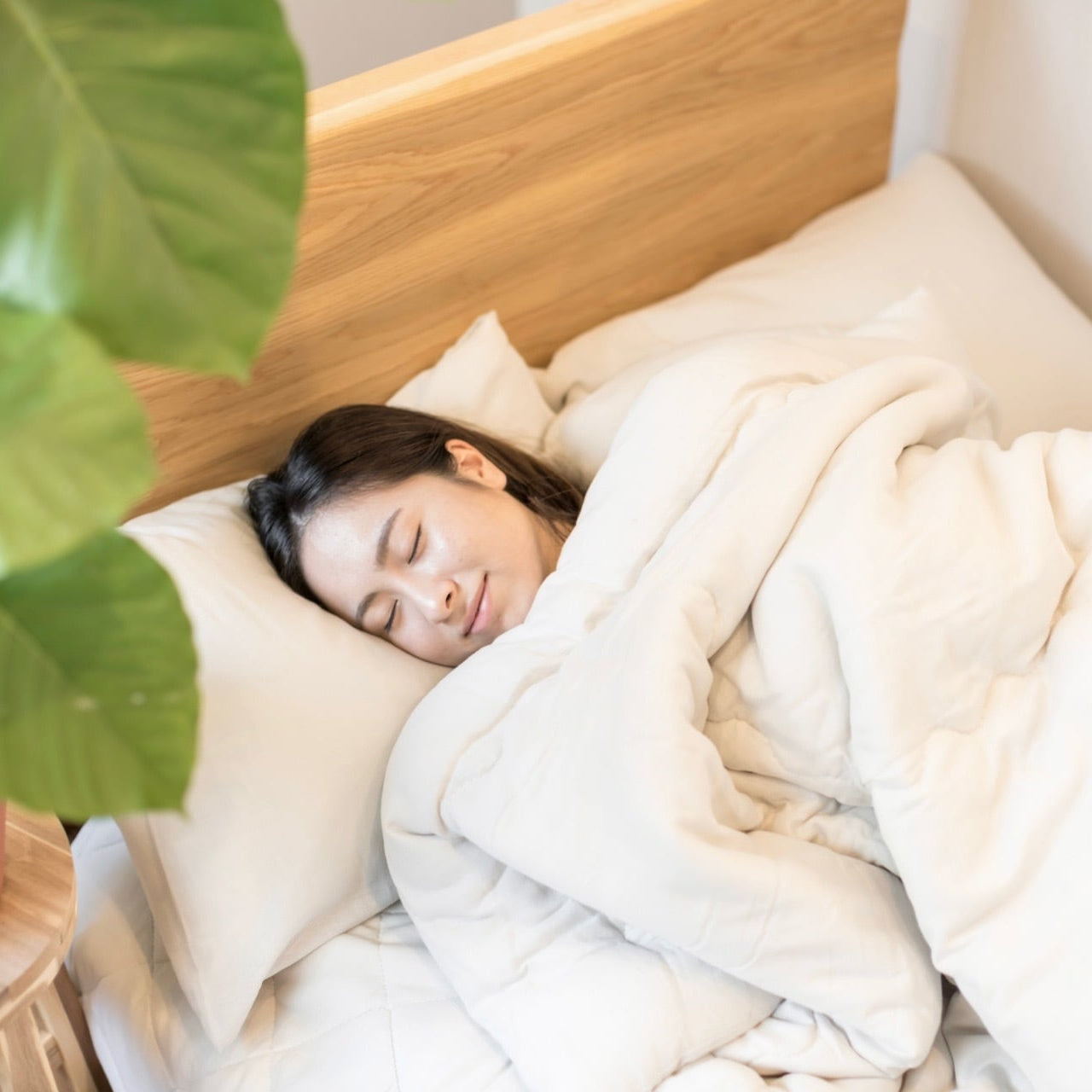 fuwatto コットン肌掛けふとん【シングル/ダブル】